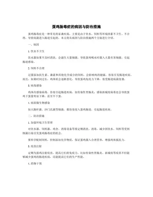 蛋鸡肠毒症的病因与防治措施