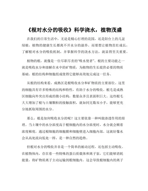 《根对水分的吸收》科学浇水-植物茂盛