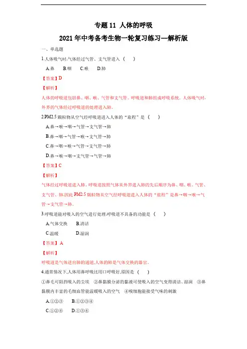 专题11 人体的呼吸(练习)(解析版)