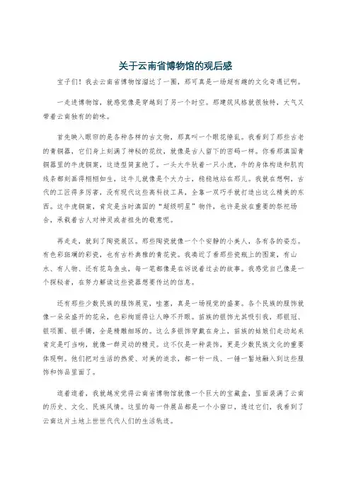 关于云南省博物馆的观后感