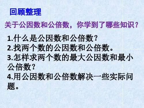 公因数和公倍数的整理与练习