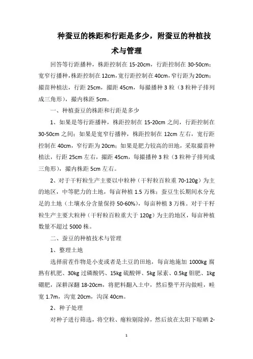 种蚕豆的株距和行距是多少,附蚕豆的种植技术与管理