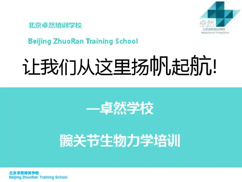22髋关节生物力学PPT--规范的