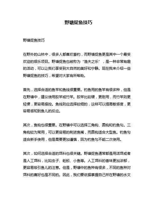 野塘捉鱼技巧