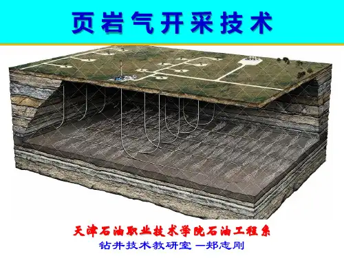 《页岩气开采技术》5-1