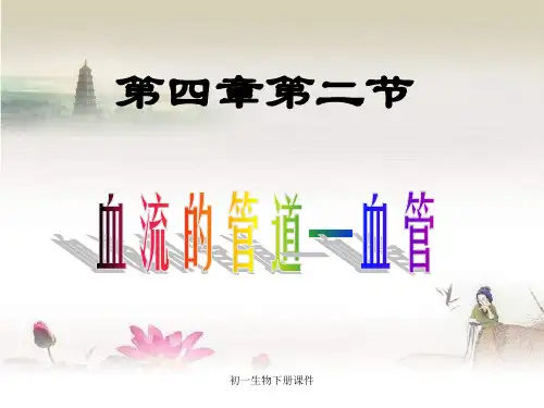 人教版初一七年级下册生物《血流的管道——血管》ppt