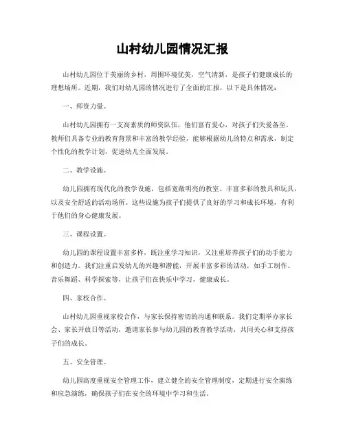 山村幼儿园情况汇报
