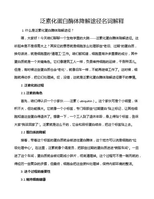 泛素化蛋白酶体降解途径名词解释