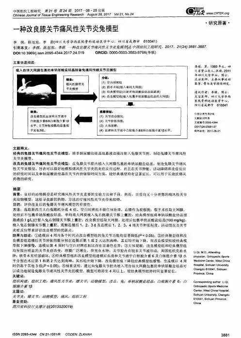 一种改良膝关节痛风性关节炎兔模型