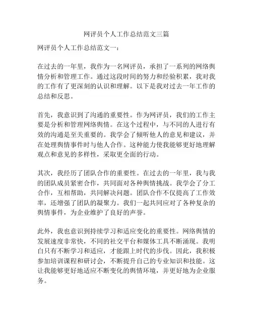 网评员个人工作总结范文三篇