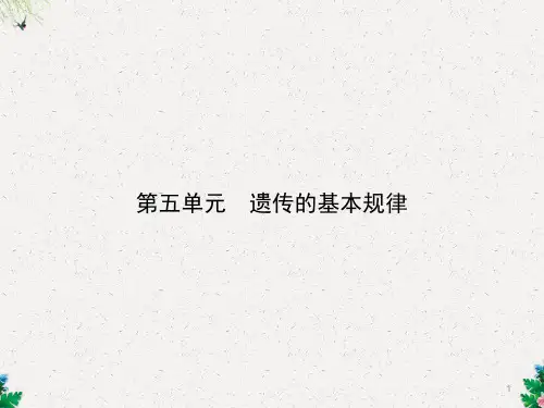 高考生物一轮课件：专题11-基因的分离定律(共167张PPT)