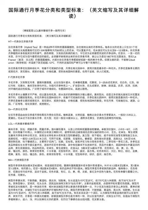 国际通行月季花分类和类型标准：（英文缩写及其详细解读）