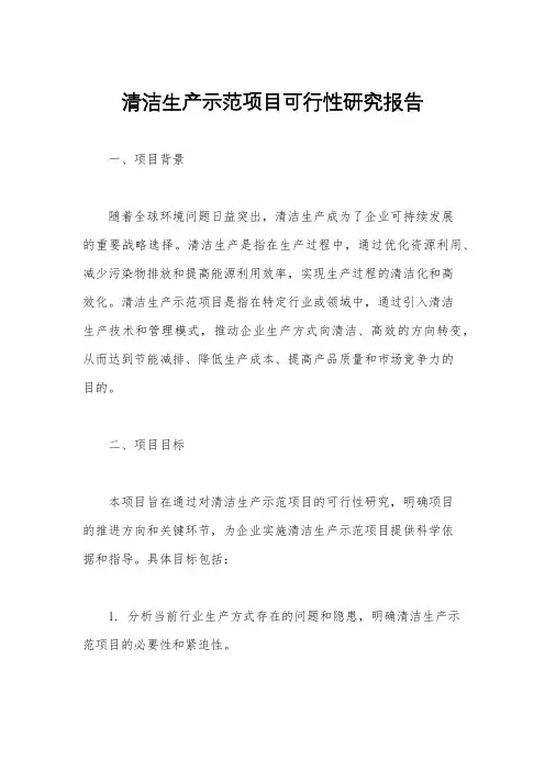 清洁生产示范项目可行性研究报告
