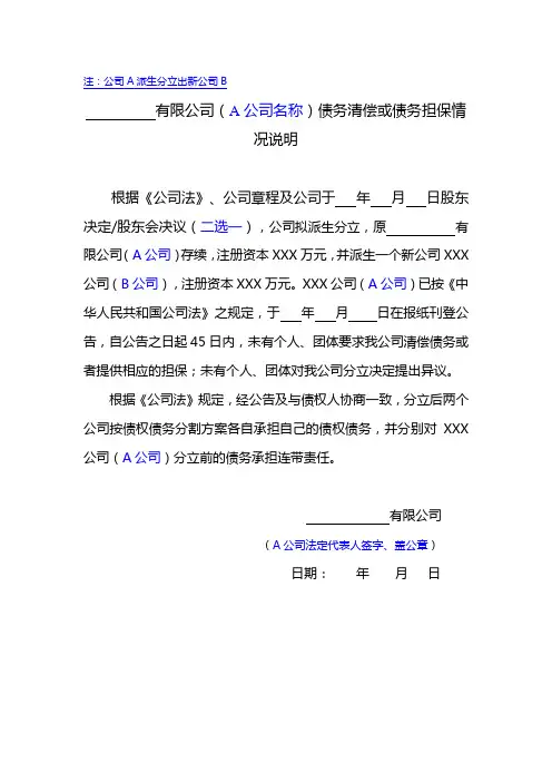 分立减资 债务清偿或债务担保情况说明 (适用有限公司分立)(范本)