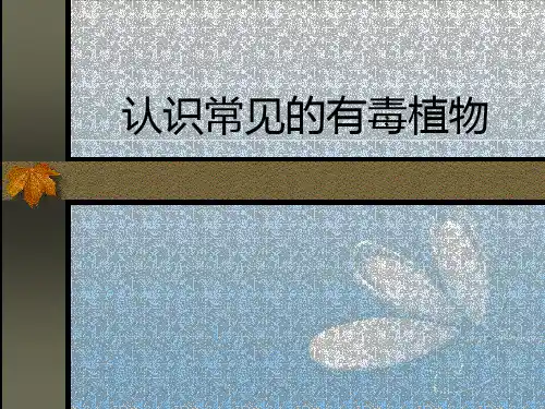 认识常见有毒植物