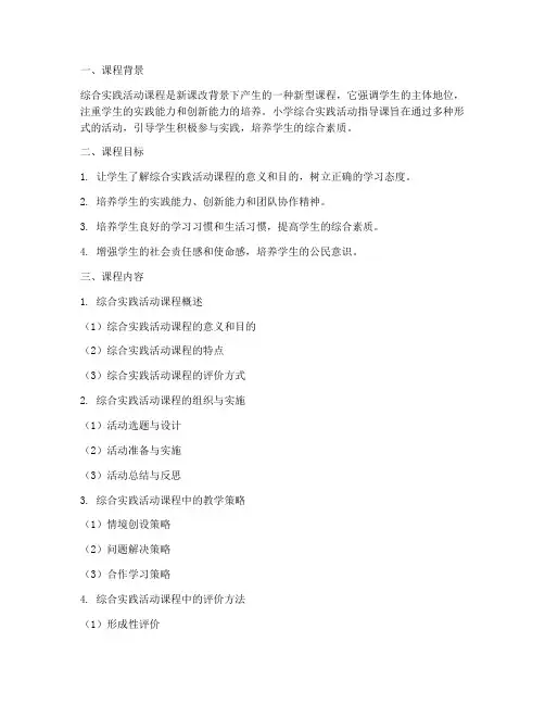 小学综合实践活动指导课