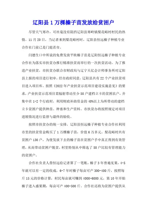 辽阳县1万棵榛子苗发放给贫困户