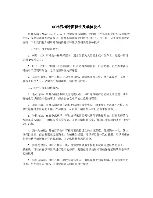 红叶石楠特征特性及栽植技术
