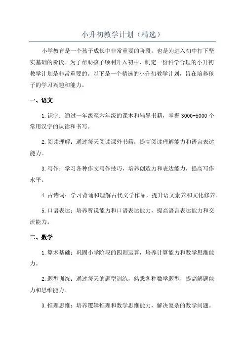 小升初教学计划(精选)