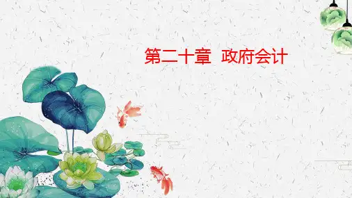 第二十章政府会计