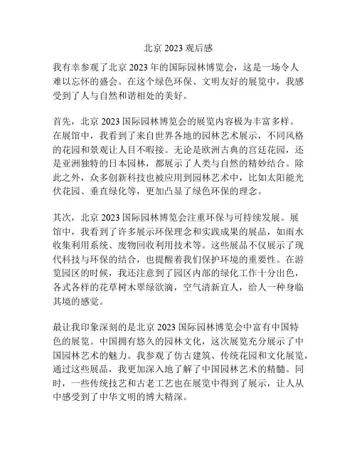 北京2023观后感
