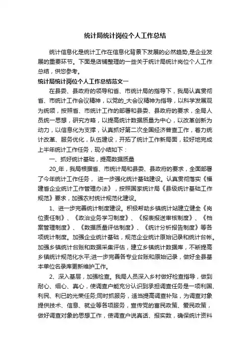 统计局统计岗位个人工作总结