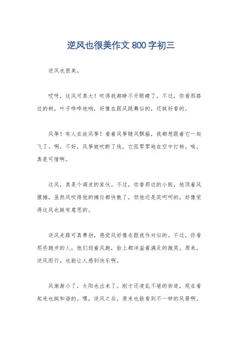 逆风也很美作文800字初三
