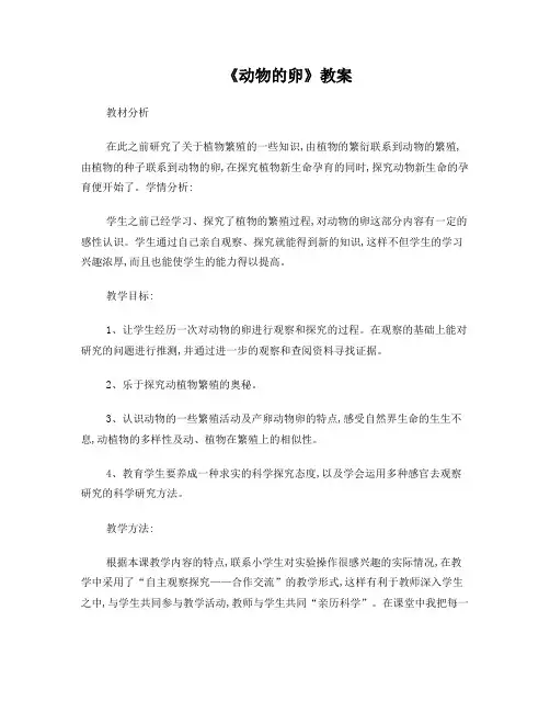 《动物的卵》教案1
