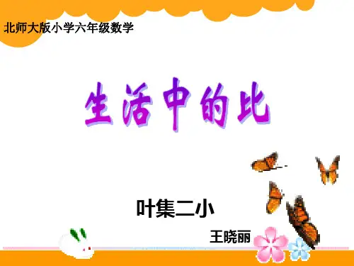 北师大版数学六年级上册《生活中的比》课件