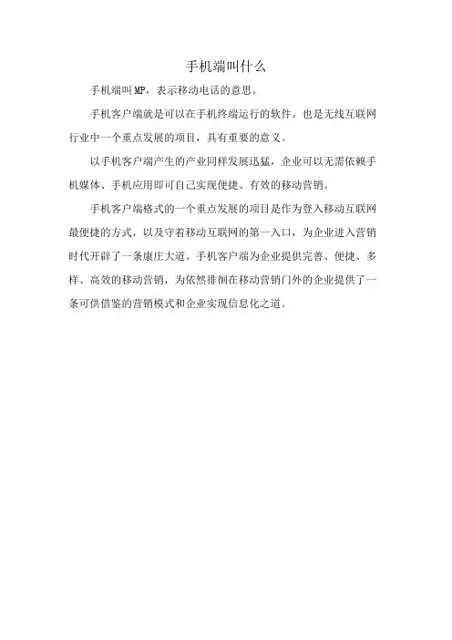 手机端叫什么
