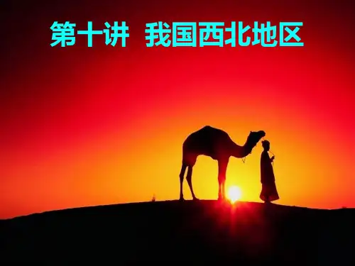 我国西北地区