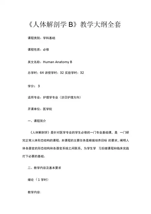 《人体解剖学B》教学大纲全套
