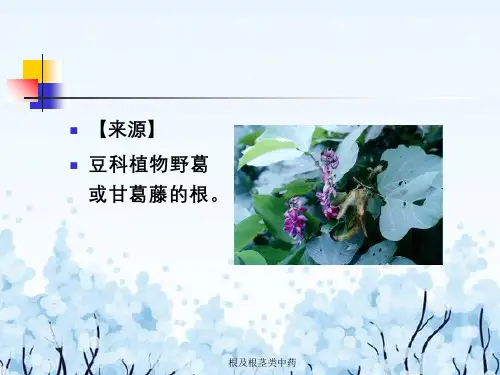 根及根茎类中药