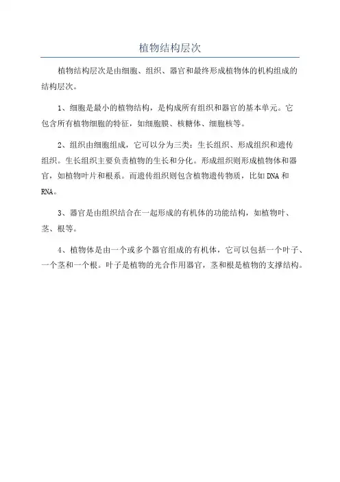 植物结构层次