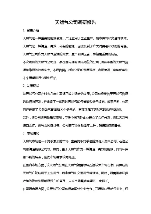 天然气公司调研报告