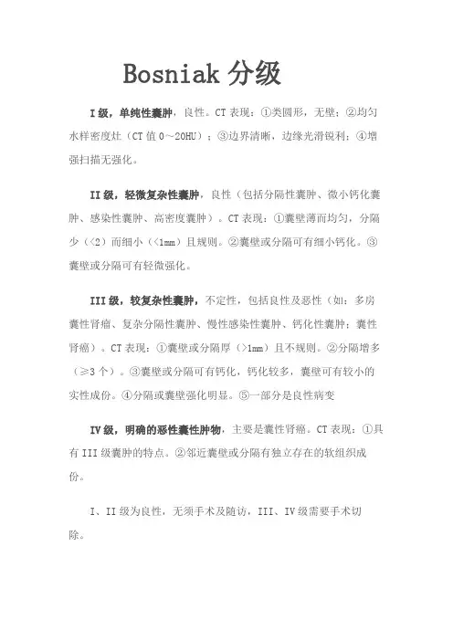 肾囊性病变Bosniak分级