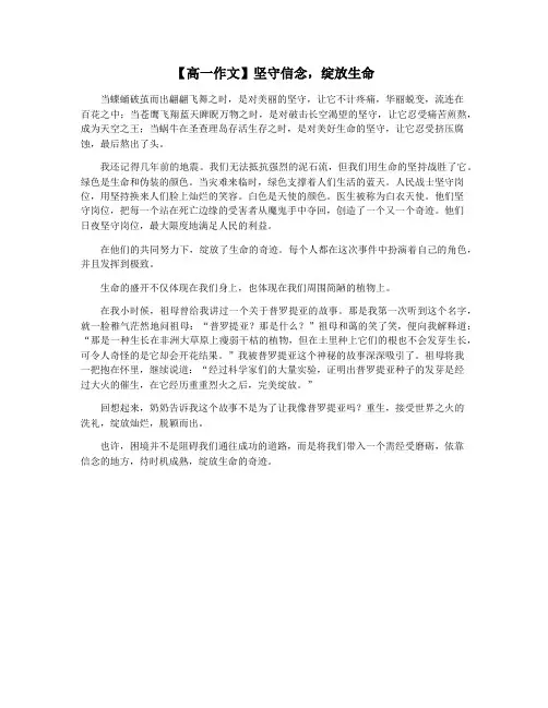 【高一作文】坚守信念,绽放生命