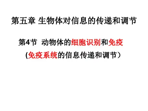 动物细胞识别和免疫