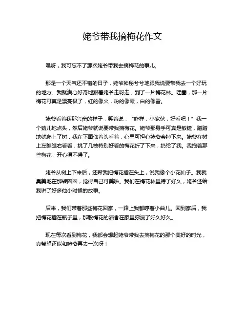姥爷带我摘梅花作文