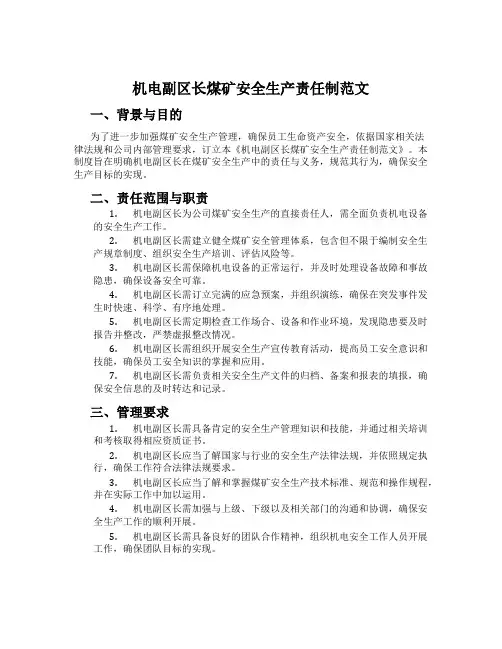 机电副区长煤矿安全生产责任制范文