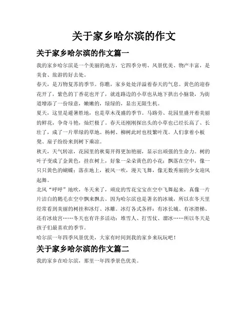 关于家乡哈尔滨的作文