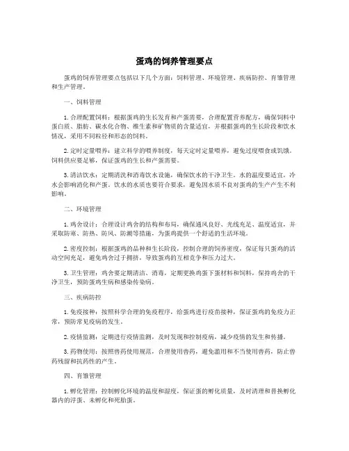 蛋鸡的饲养管理要点
