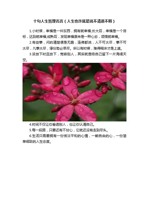 十句人生哲理名言（人生也许就是说不清道不明）