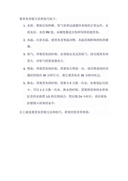 观赏鱼养殖方法和技巧