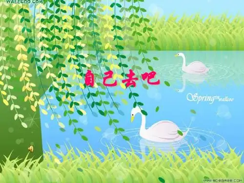 14 自己去吧(课件1).PPT