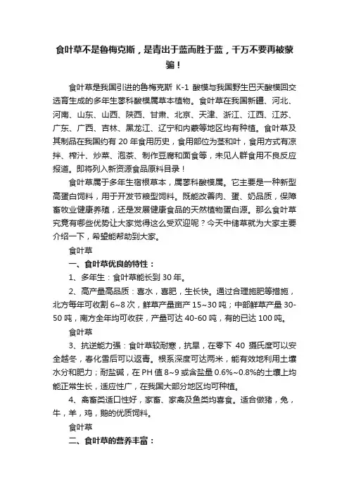 食叶草不是鲁梅克斯，是青出于蓝而胜于蓝，千万不要再被蒙骗！