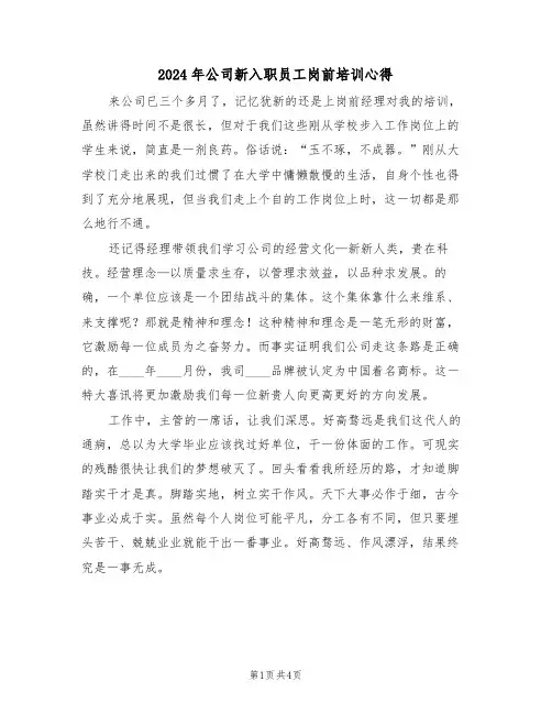2024年公司新入职员工岗前培训心得(2篇)