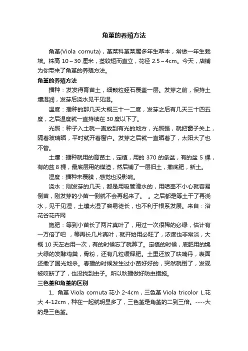 角堇的养殖方法
