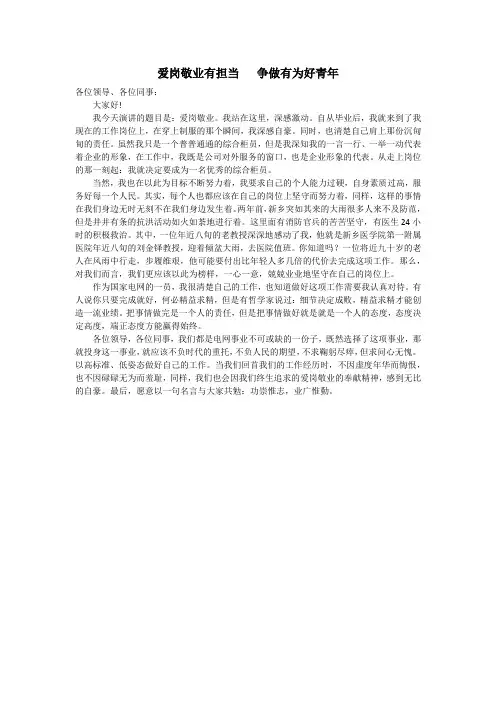 爱岗敬业有担当   争做有为好青年(电网演讲)
