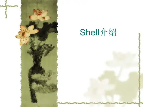《shell编程初步》PPT课件